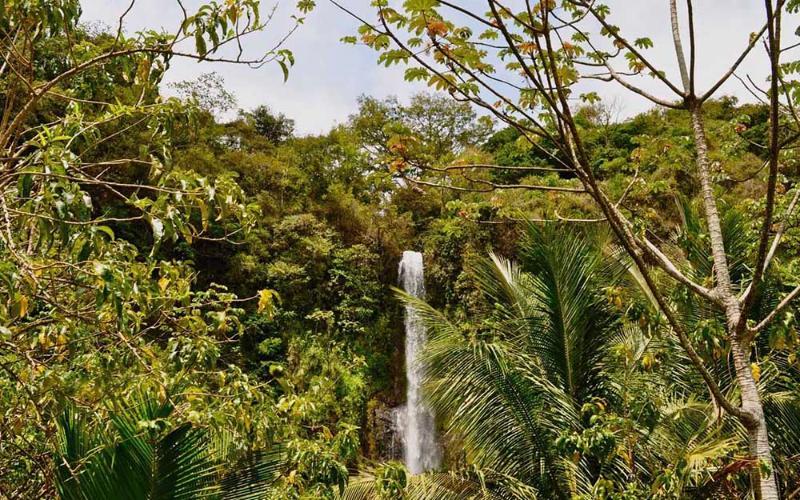 Hotel Cielo Azul Resort Tilarán エクステリア 写真